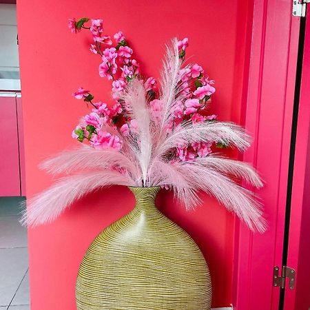 O Apartamento Rosa João Pessoa Exterior foto